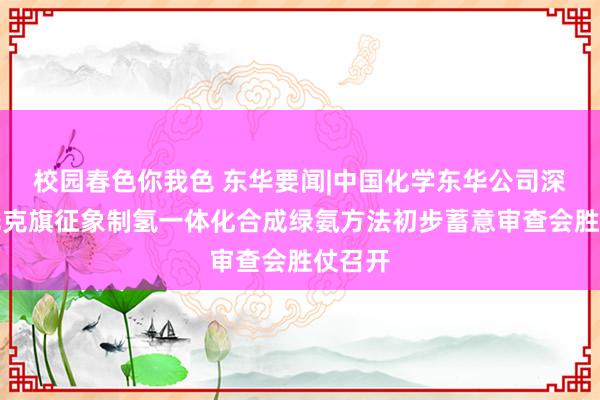 校园春色你我色 东华要闻|中国化学东华公司深能鄂托克旗征象制氢一体化合成绿氨方法初步蓄意审查会胜仗召开