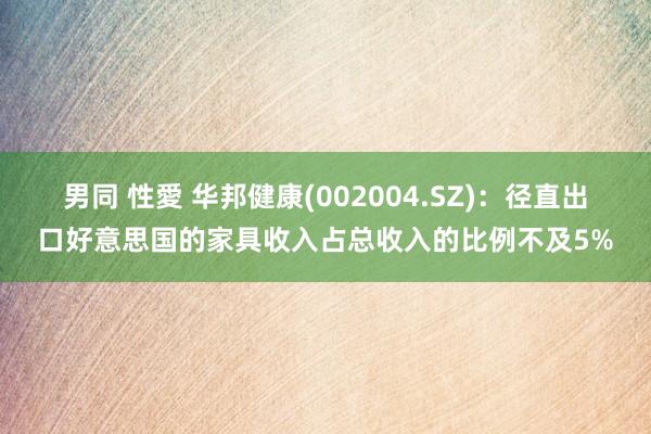 男同 性愛 华邦健康(002004.SZ)：径直出口好意思国的家具收入占总收入的比例不及5%