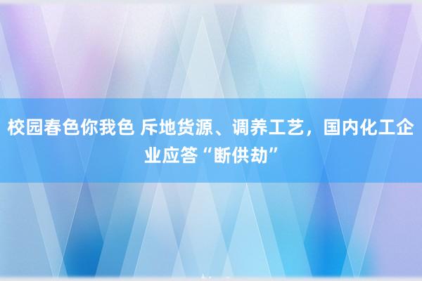 校园春色你我色 斥地货源、调养工艺，国内化工企业应答“断供劫”
